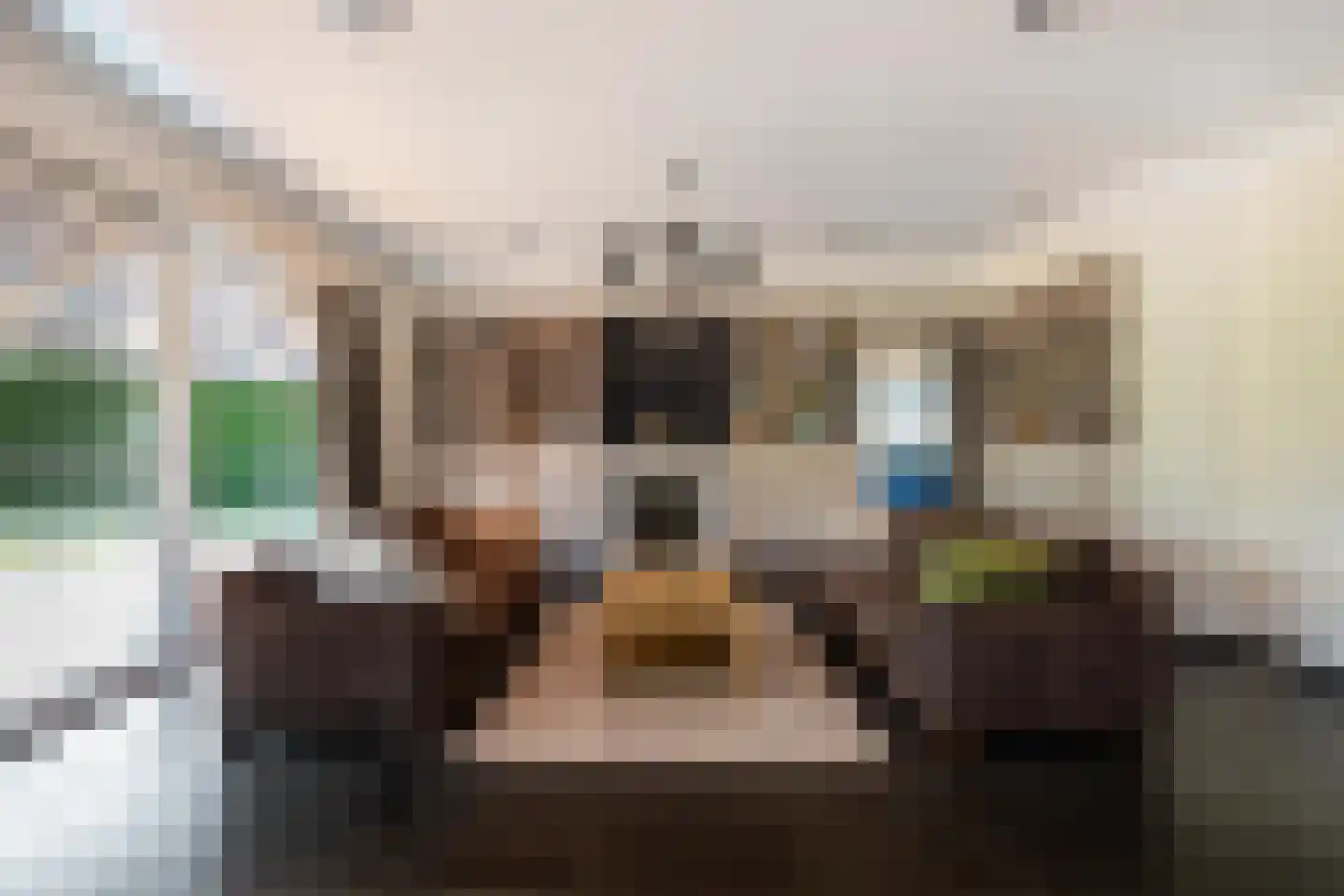 Dotterbloem 2 Leek thumbnail 11