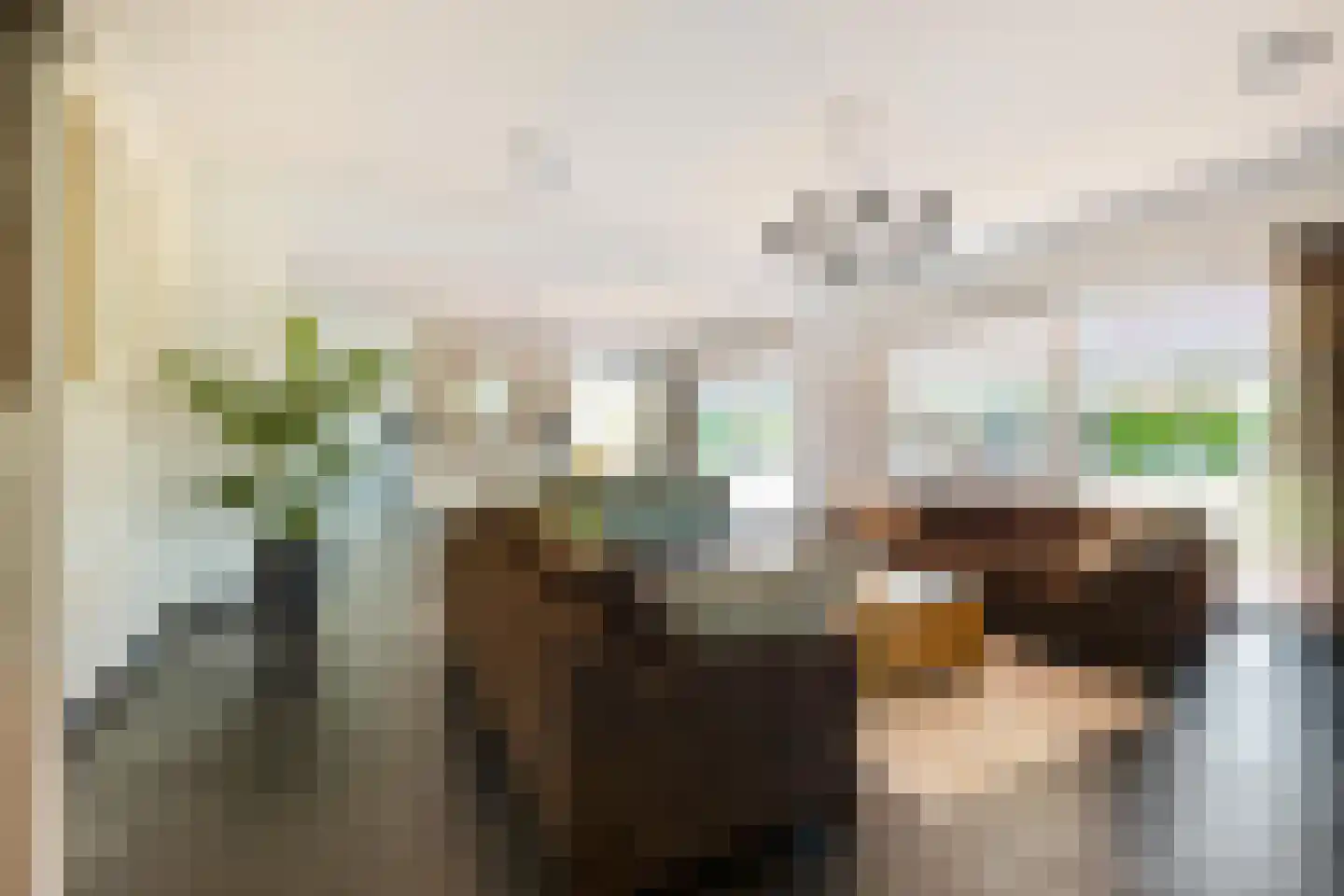 Dotterbloem 2 Leek thumbnail 12