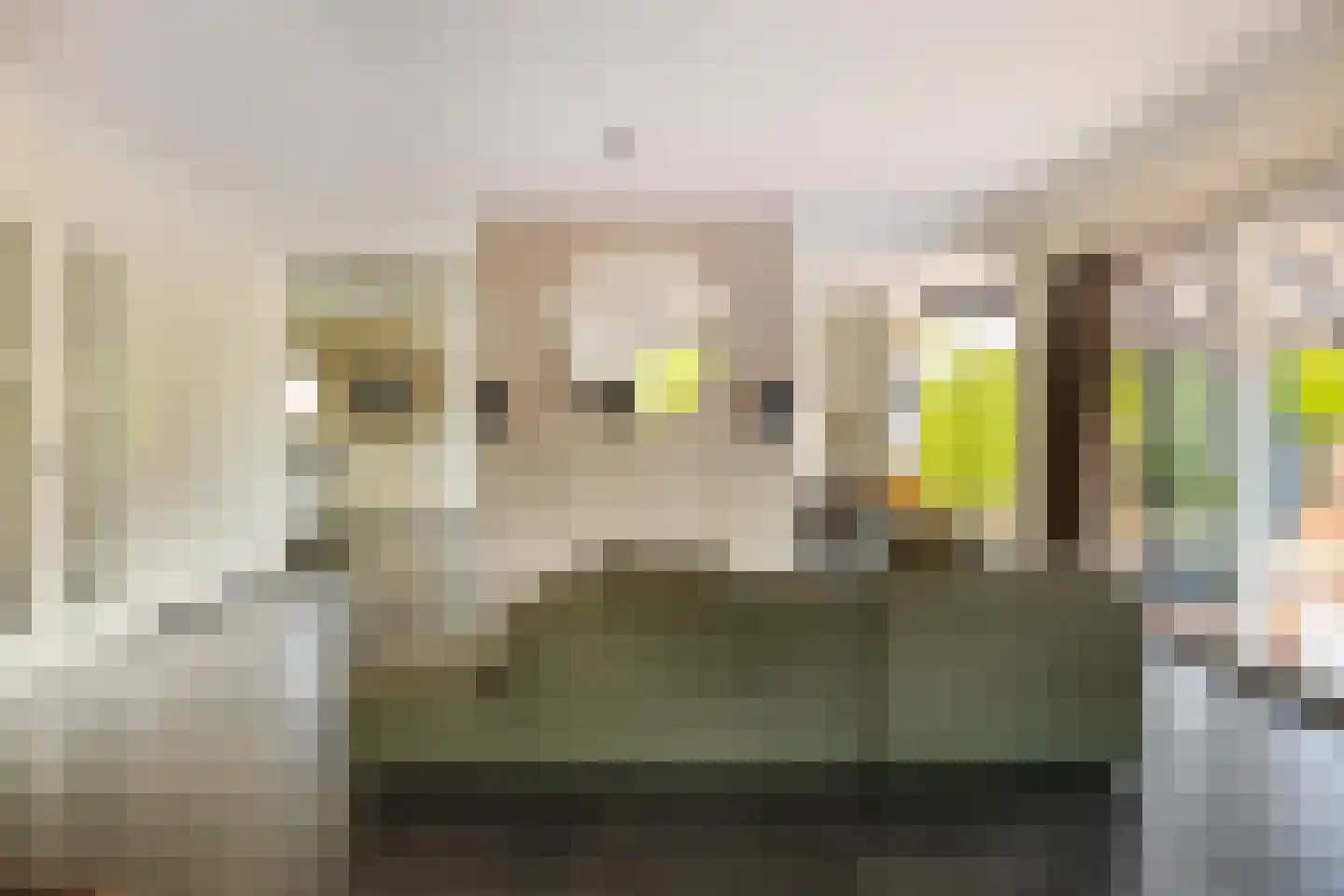 Dotterbloem 2 Leek thumbnail 13