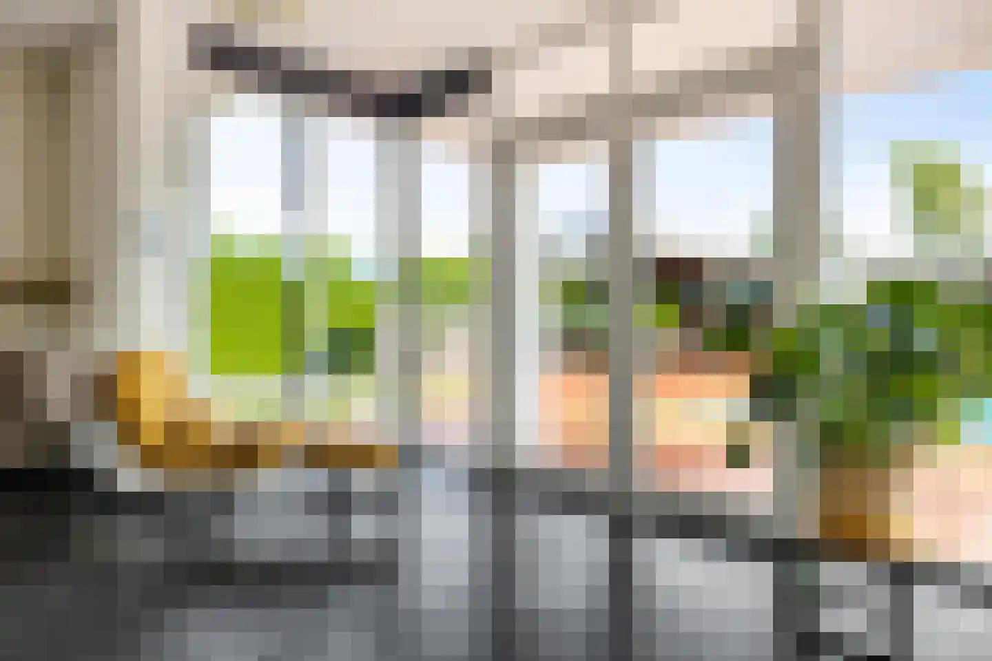Dotterbloem 2 Leek thumbnail 14