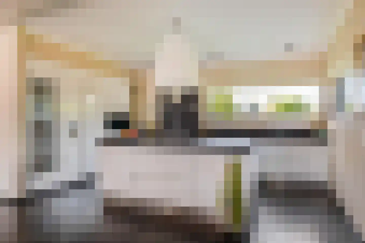 Dotterbloem 2 Leek thumbnail 17