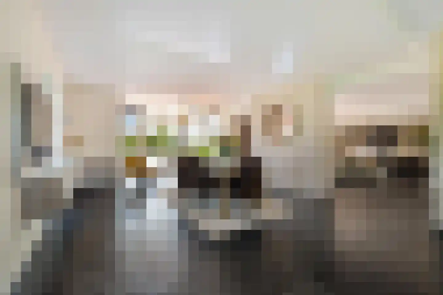 Dotterbloem 2 Leek thumbnail 20