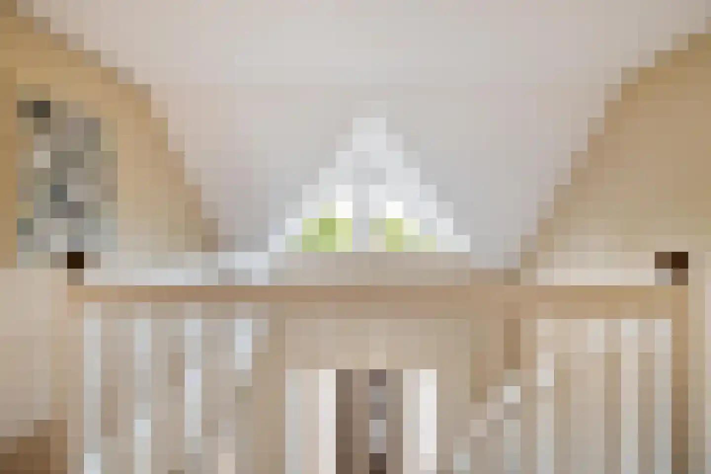 Dotterbloem 2 Leek thumbnail 24