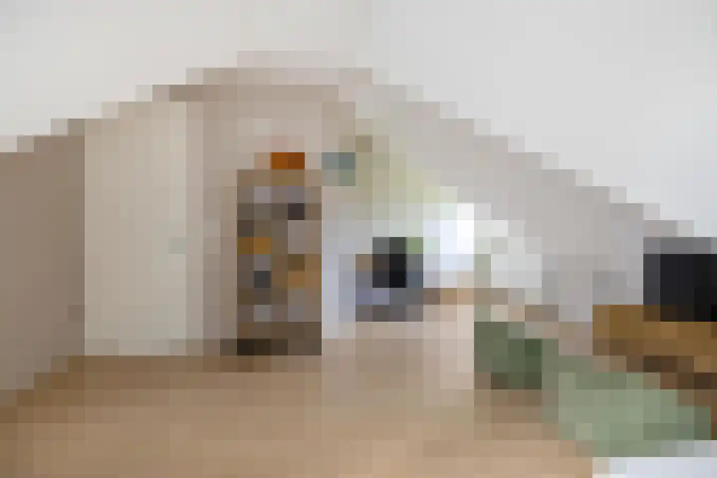 Dotterbloem 2 Leek thumbnail 30
