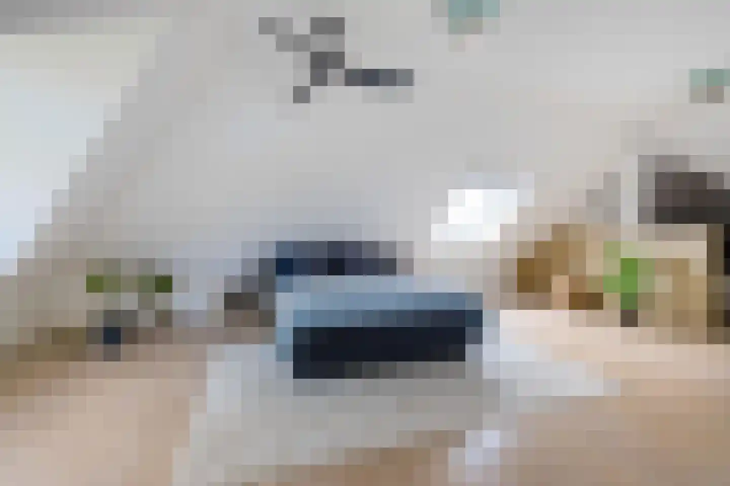 Dotterbloem 2 Leek thumbnail 33