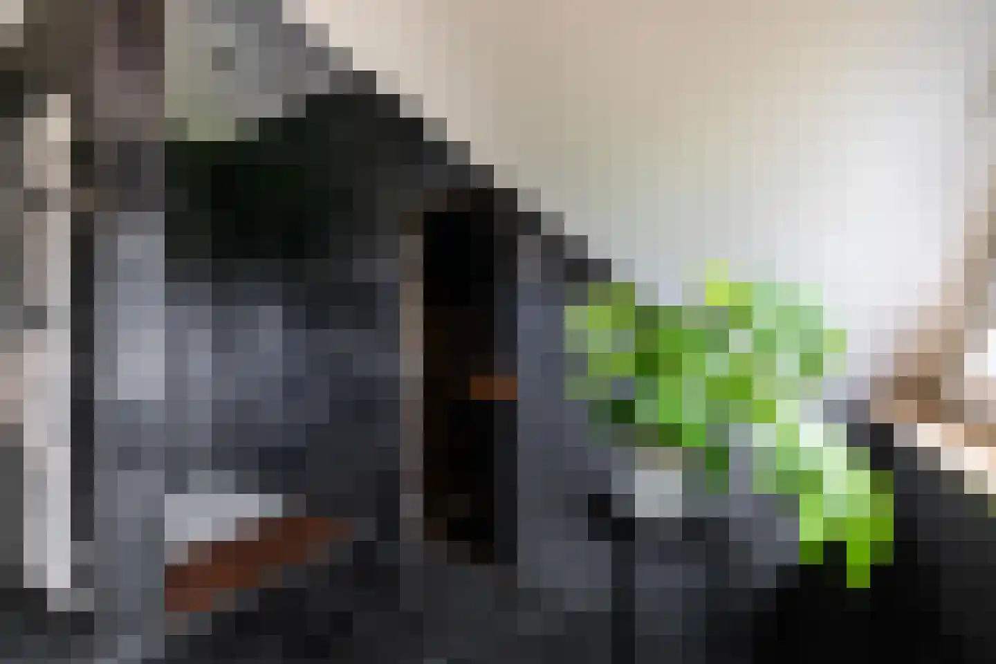 Dotterbloem 2 Leek thumbnail 38