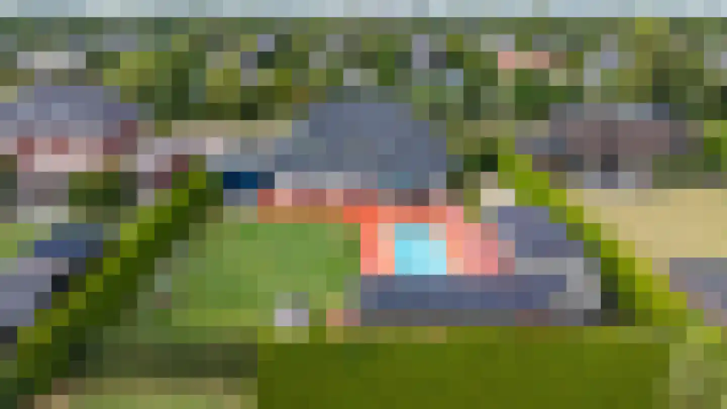 Dotterbloem 2 Leek thumbnail 41