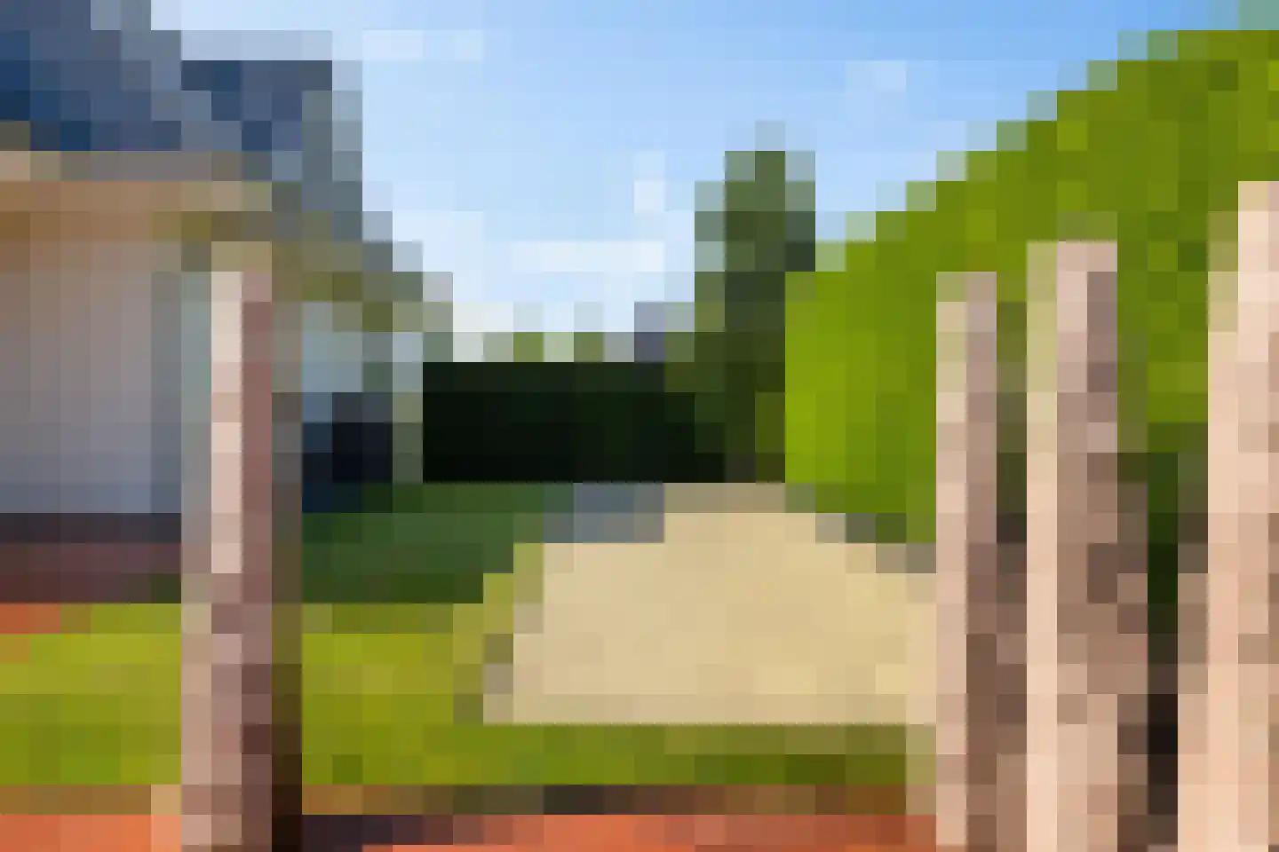 Dotterbloem 2 Leek thumbnail 43