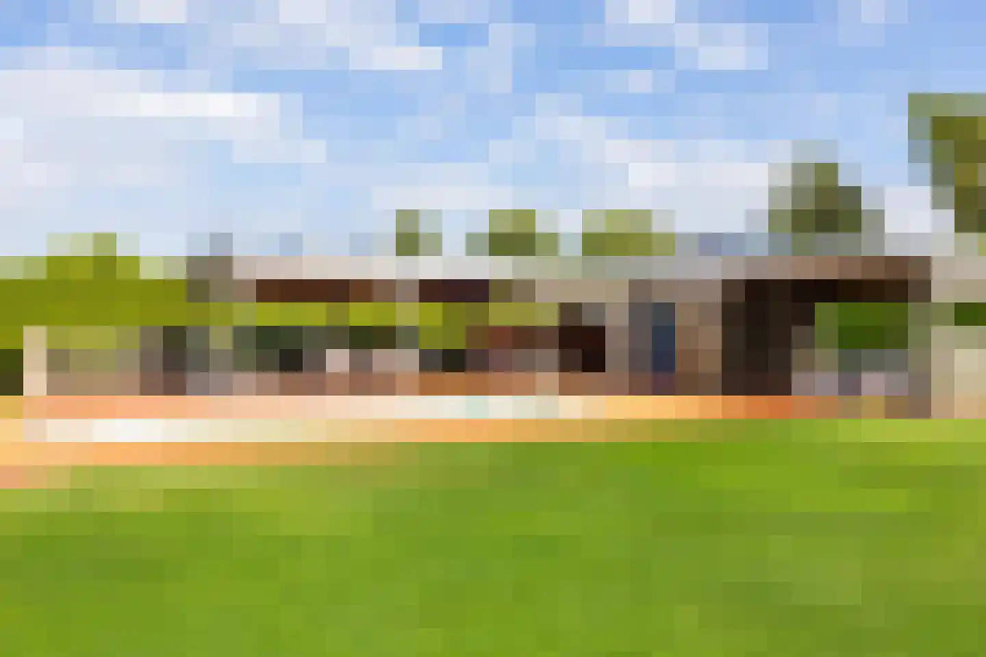 Dotterbloem 2 Leek thumbnail 45
