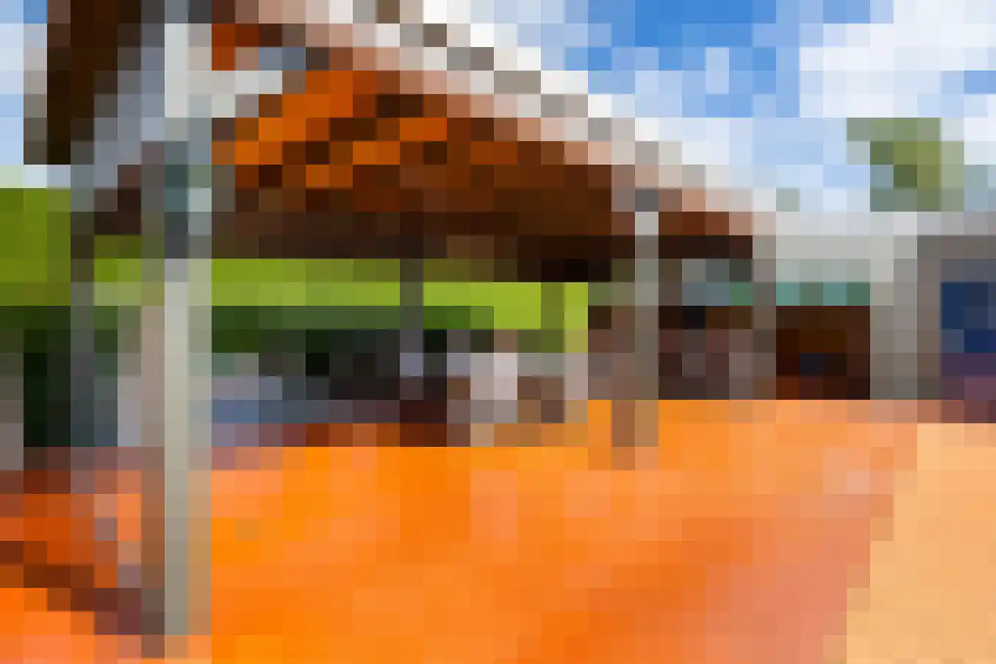 Dotterbloem 2 Leek thumbnail 46