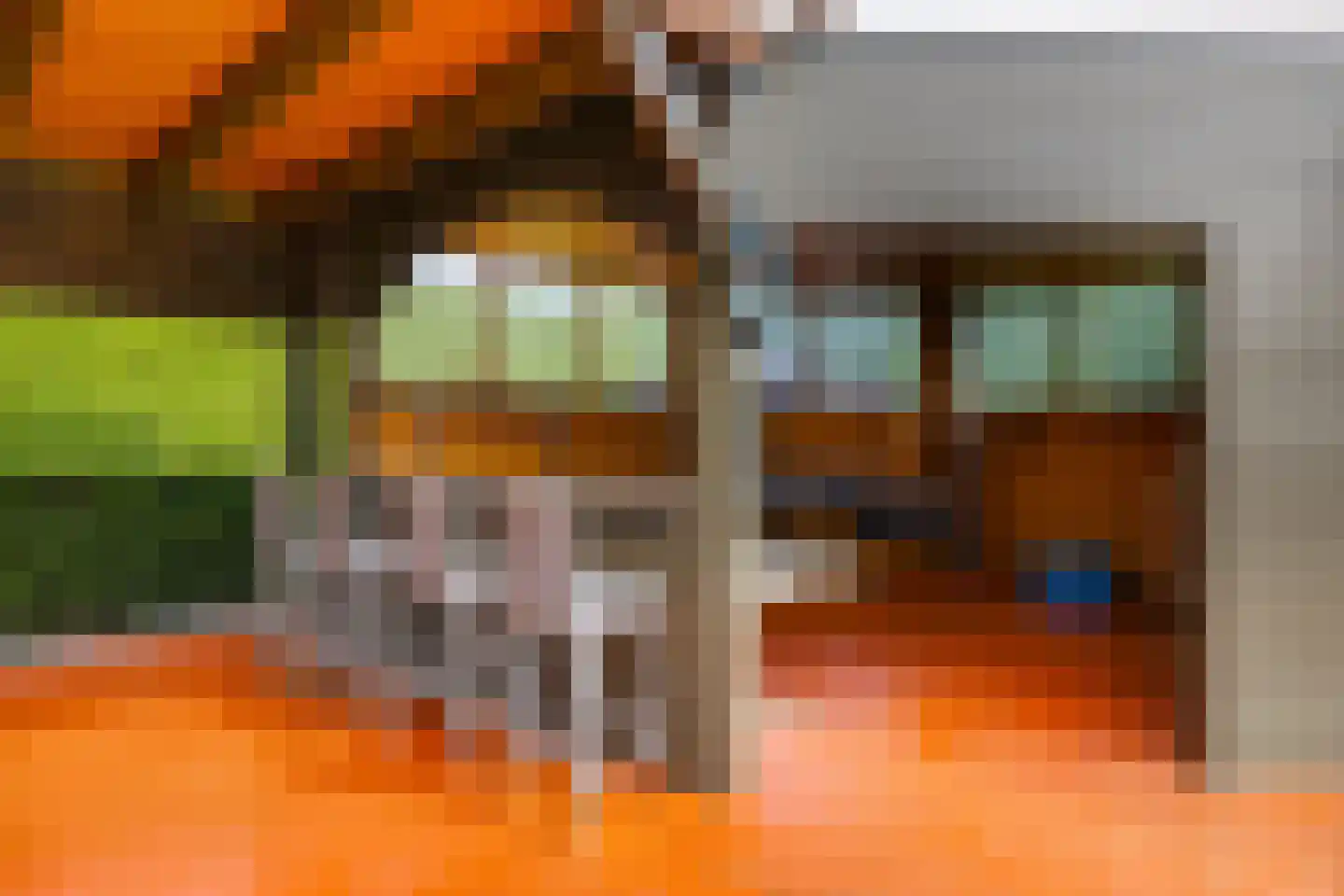 Dotterbloem 2 Leek thumbnail 47