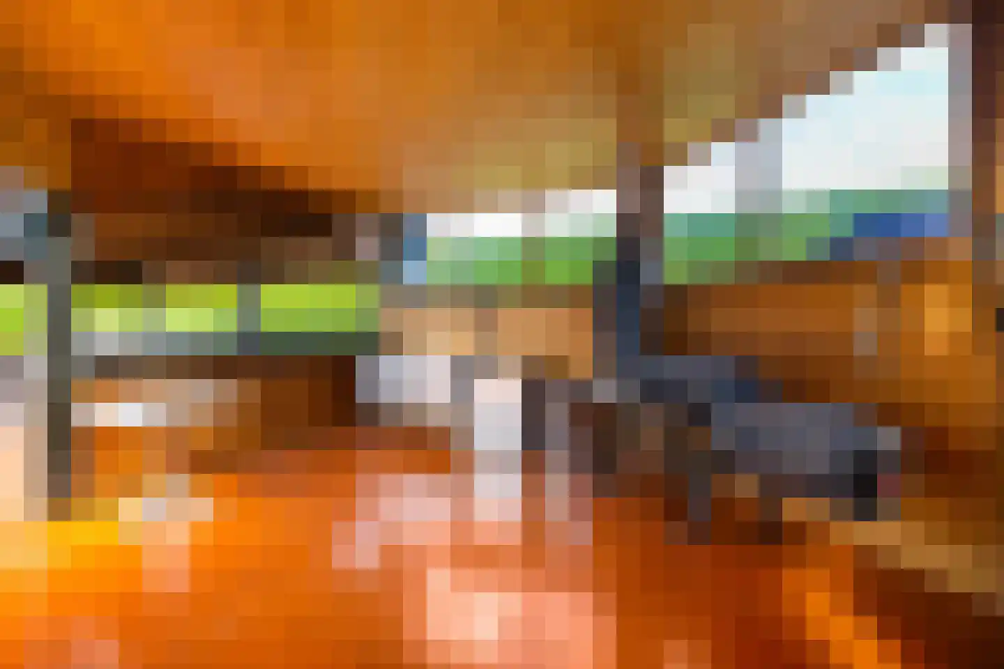 Dotterbloem 2 Leek thumbnail 48