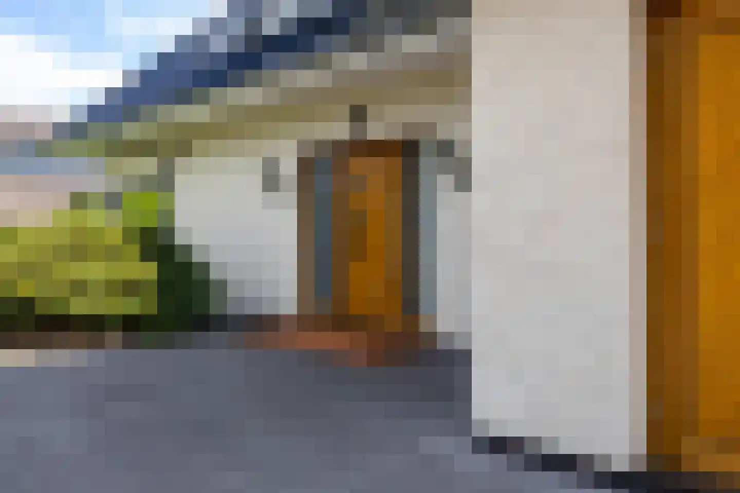 Dotterbloem 2 Leek thumbnail 5