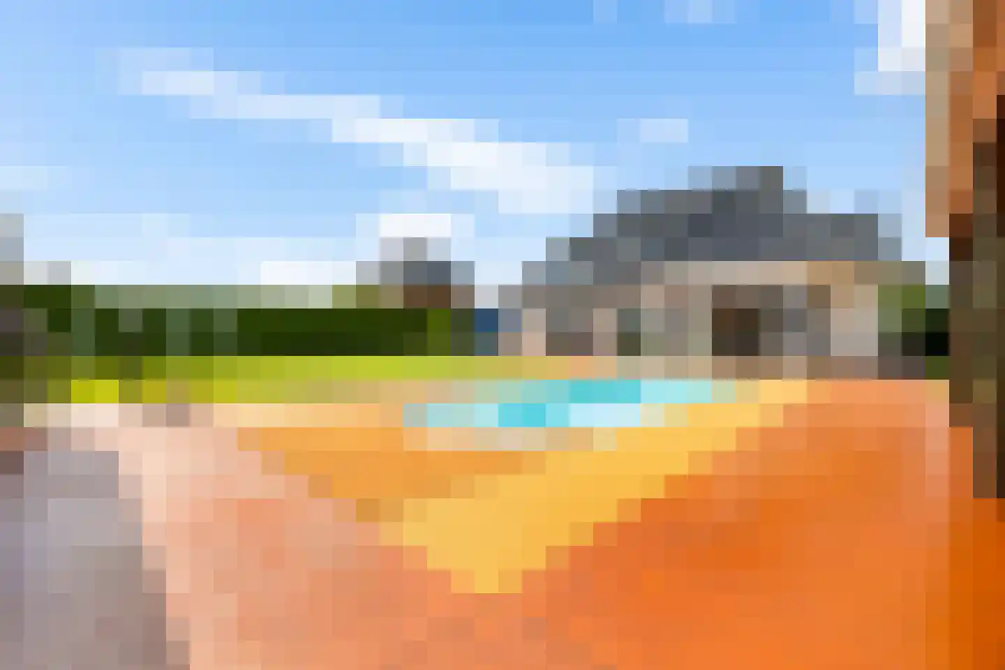 Dotterbloem 2 Leek thumbnail 51