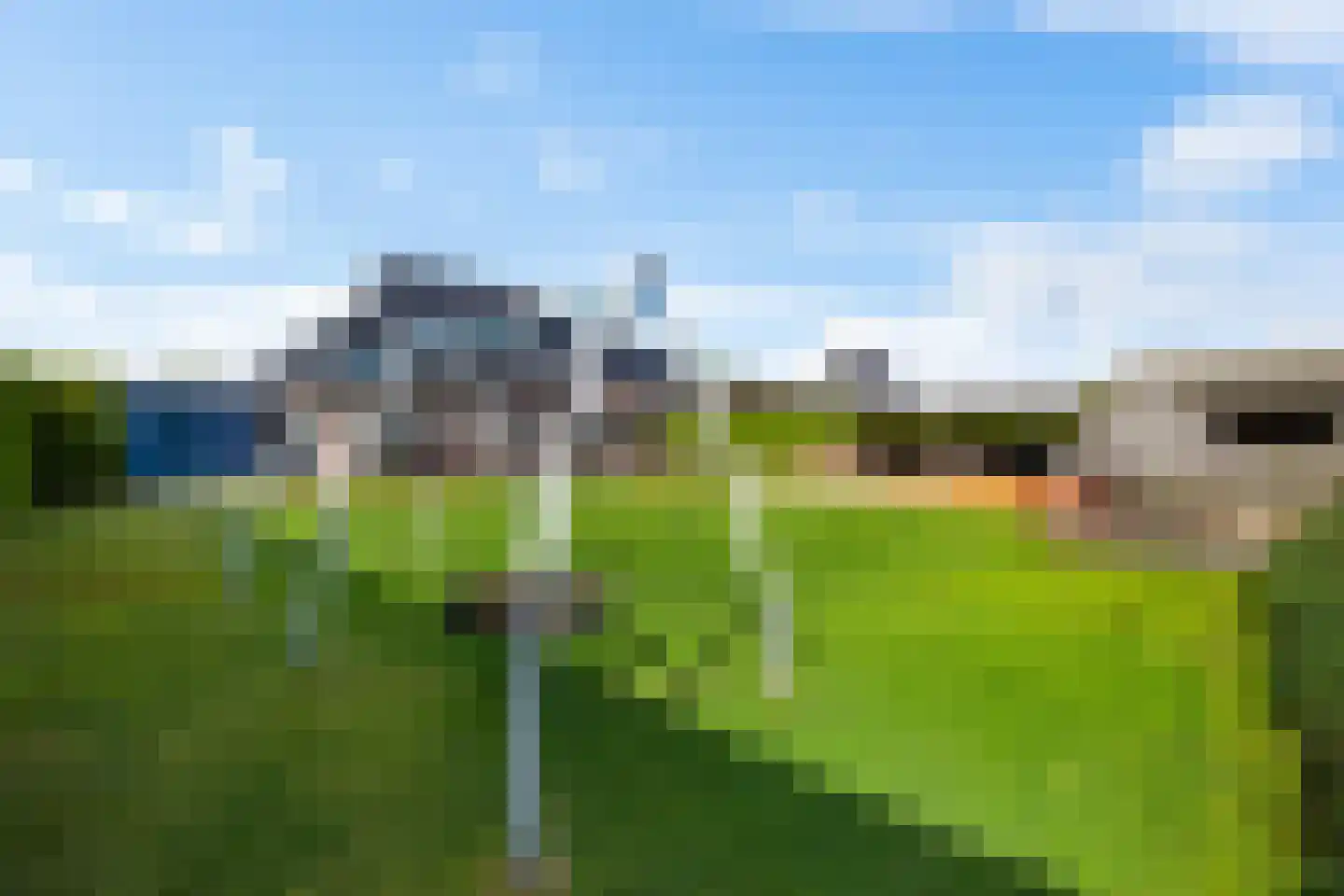 Dotterbloem 2 Leek thumbnail 52