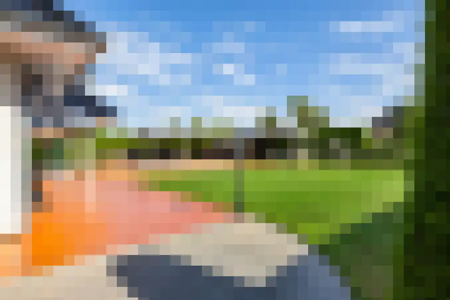 Dotterbloem 2 Leek thumbnail 53