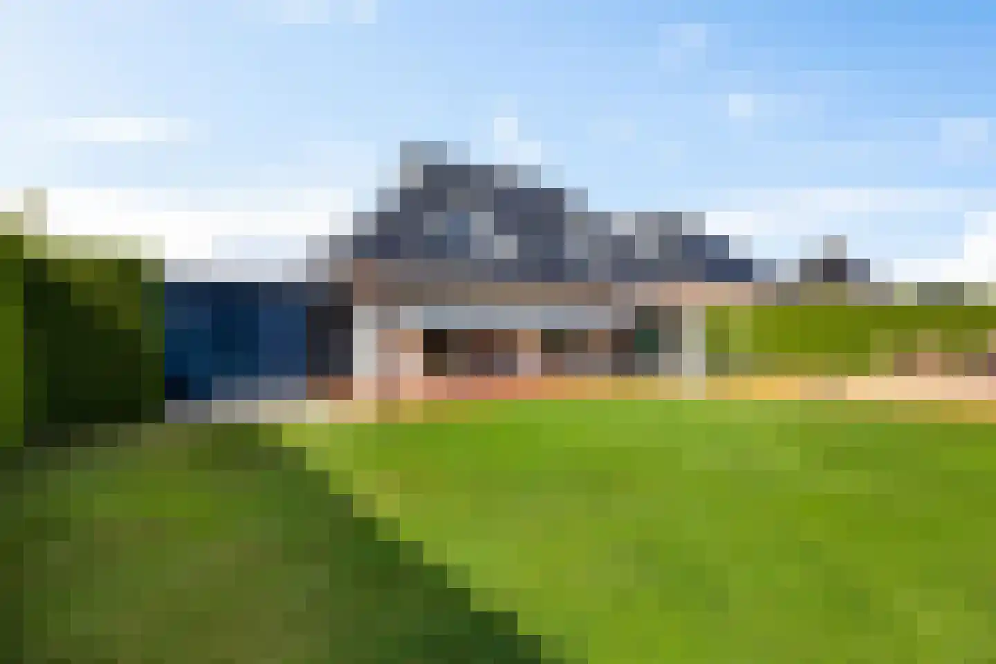Dotterbloem 2 Leek thumbnail 54