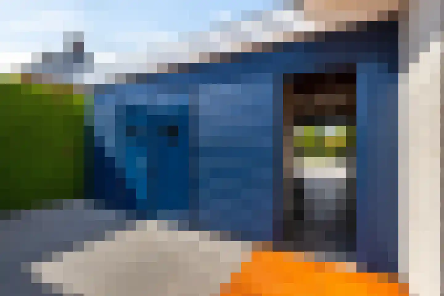 Dotterbloem 2 Leek thumbnail 55