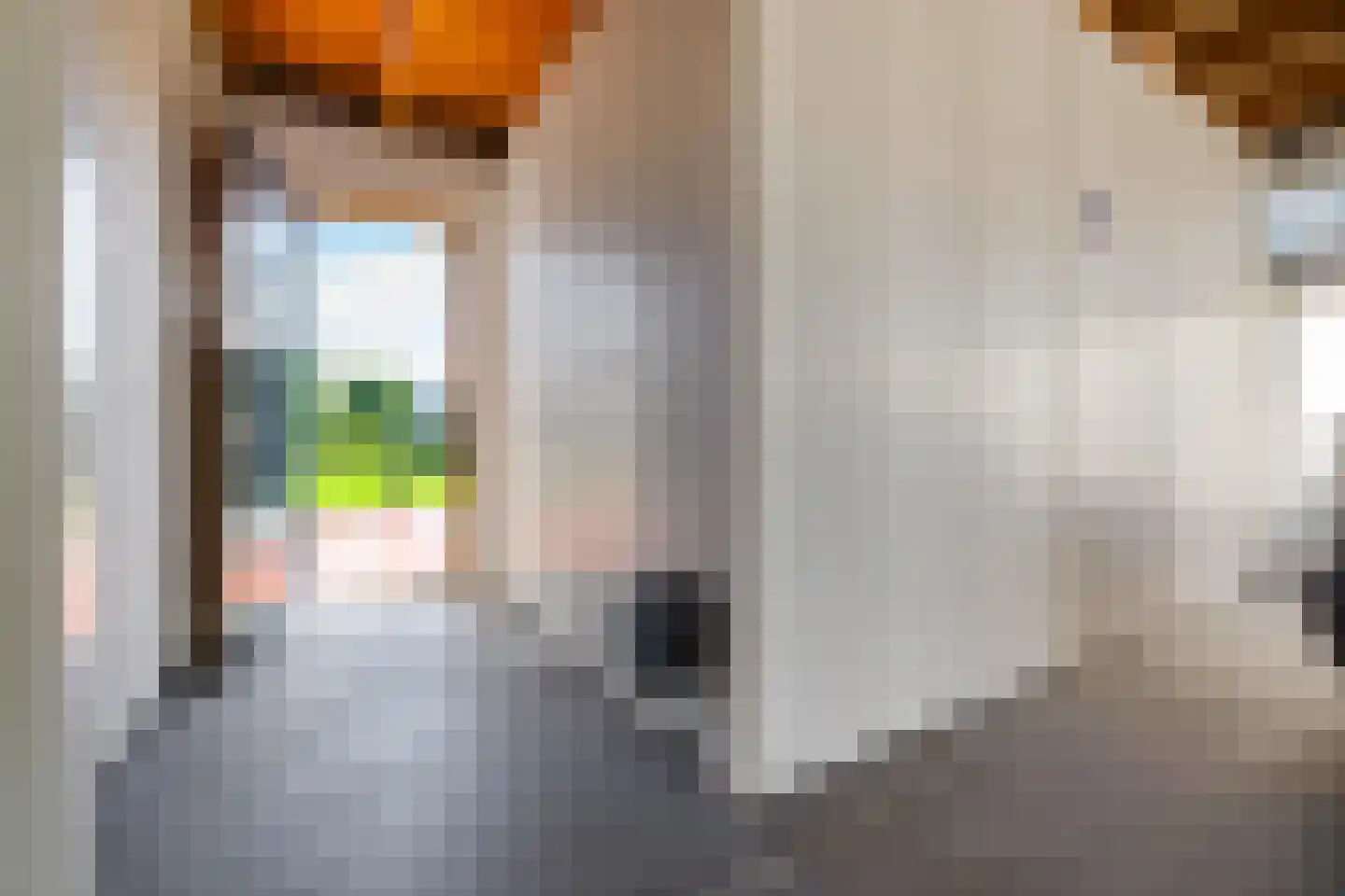 Dotterbloem 2 Leek thumbnail 56