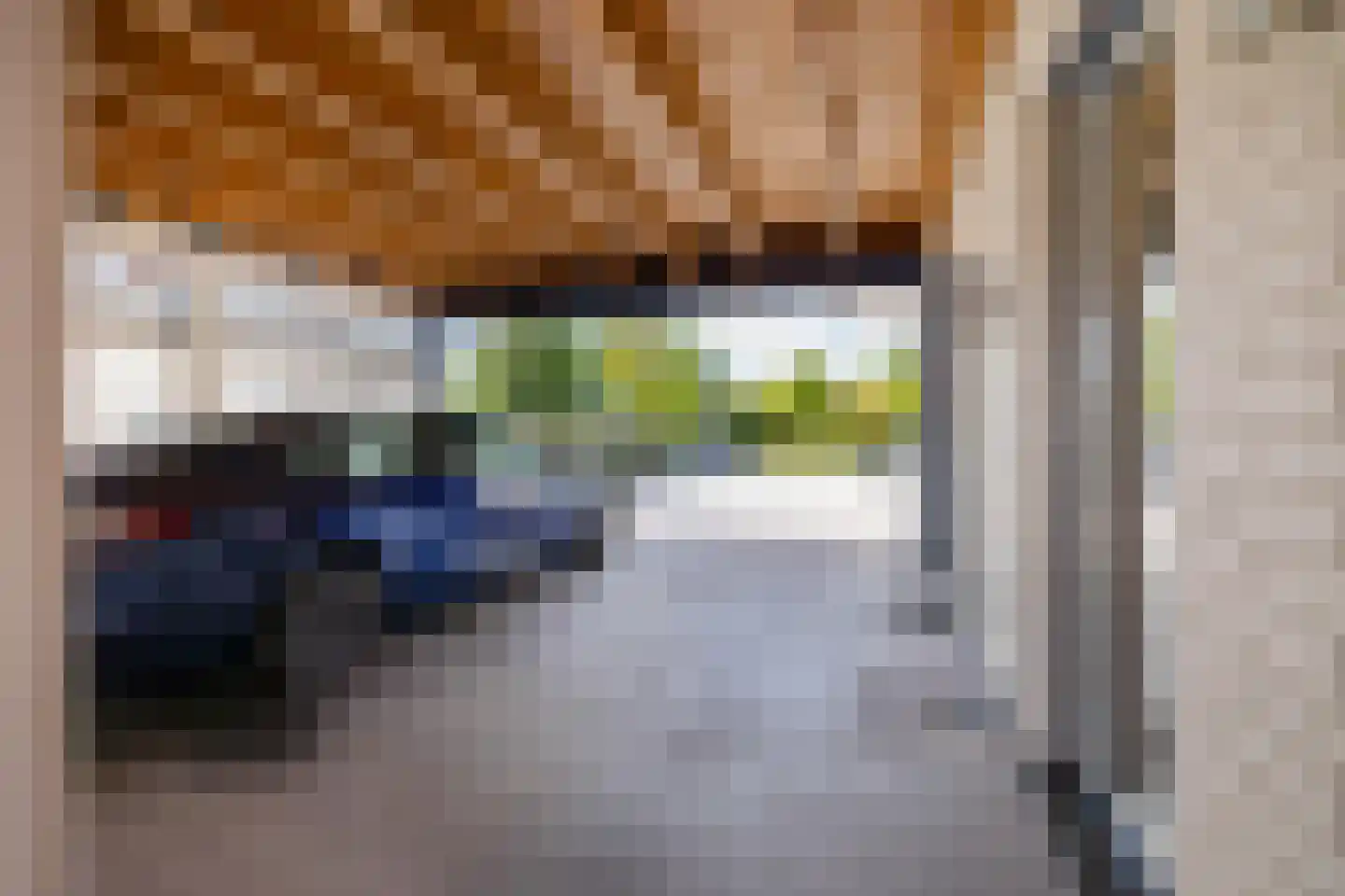 Dotterbloem 2 Leek thumbnail 57