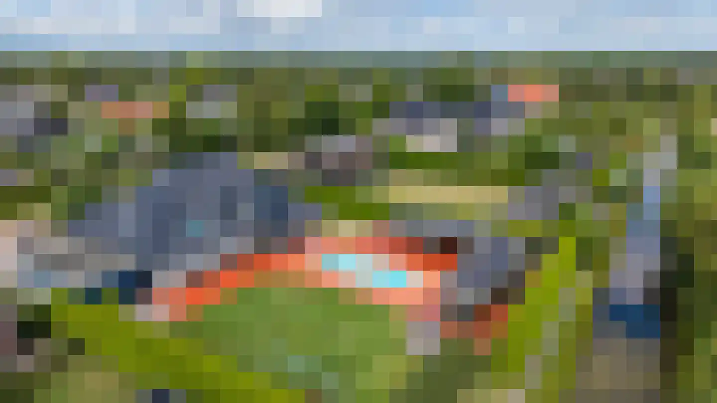 Dotterbloem 2 Leek thumbnail 58