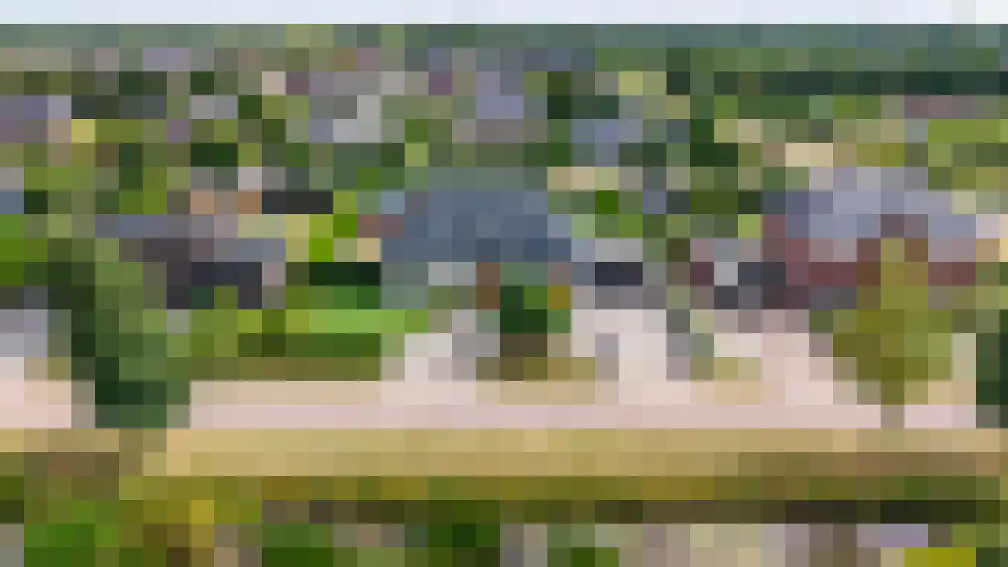 Dotterbloem 2 Leek thumbnail 60