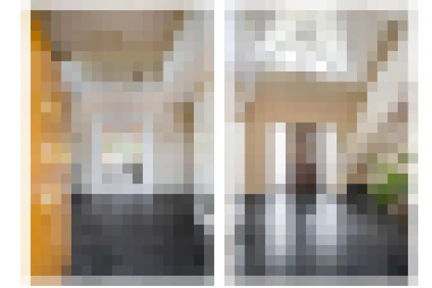 Dotterbloem 2 Leek thumbnail 7