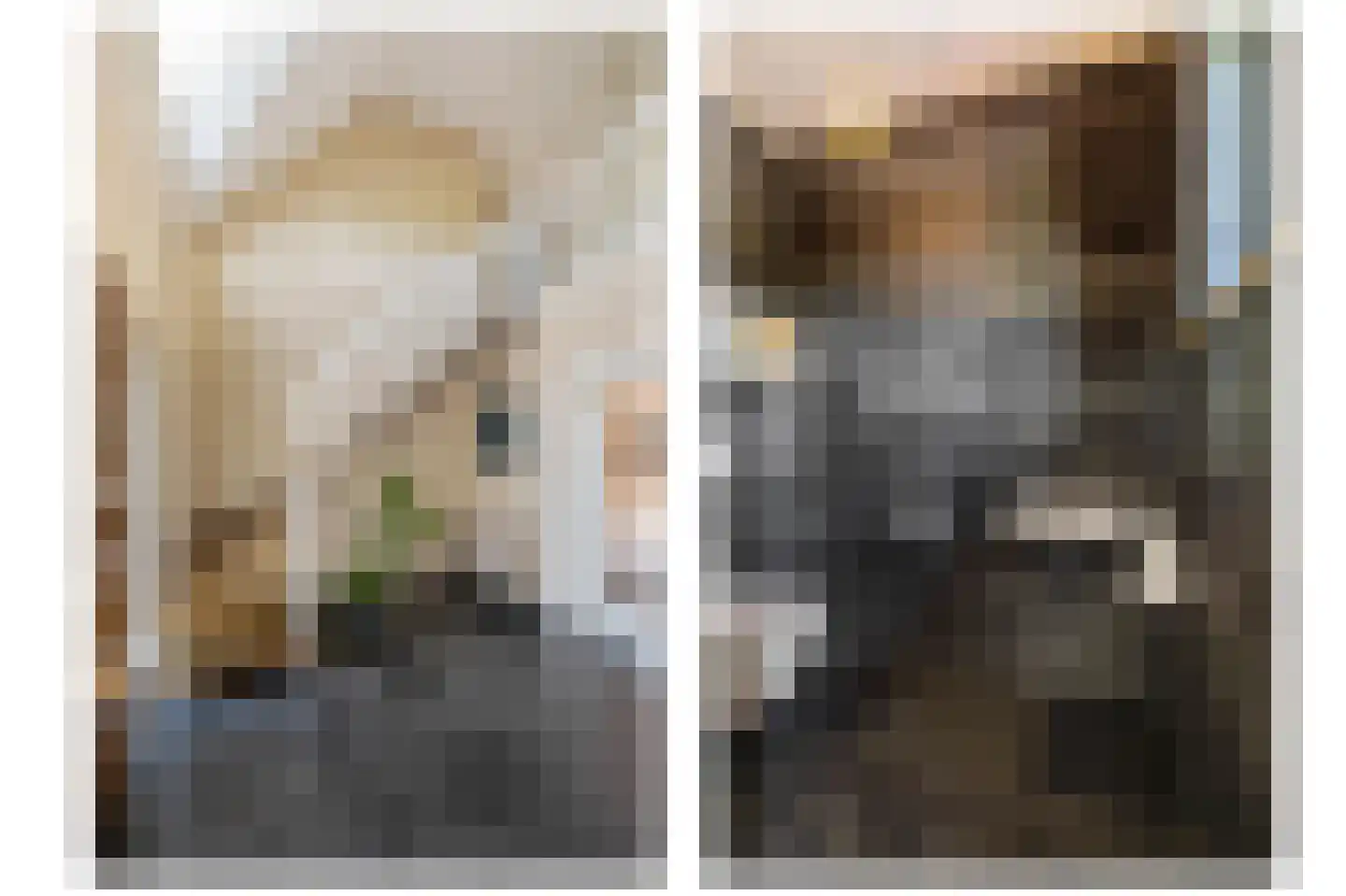 Dotterbloem 2 Leek thumbnail 8