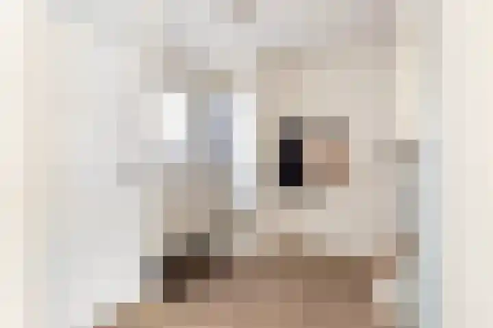 Dotterbloem 2 Uitgeest thumbnail 14