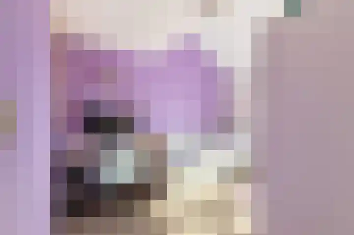 Dotterbloem 2 Uitgeest thumbnail 18