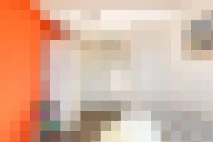 Dotterbloem 2 Uitgeest thumbnail 21