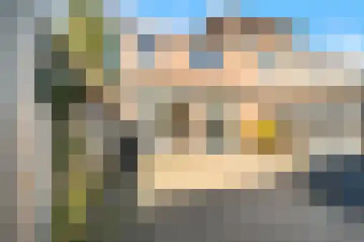 Dotterbloem 2 Uitgeest thumbnail 27