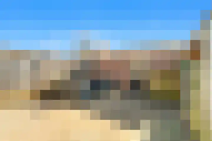 Dotterbloem 2 Uitgeest thumbnail 29