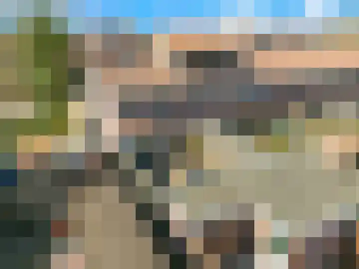 Dotterbloem 2 Uitgeest thumbnail 31