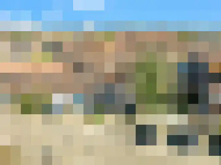 Dotterbloem 2 Uitgeest thumbnail 32