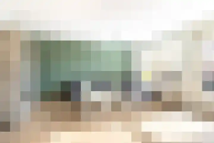 Dotterbloem 2 Uitgeest thumbnail 4