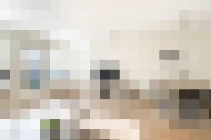 Dotterbloem 2 Uitgeest thumbnail 5