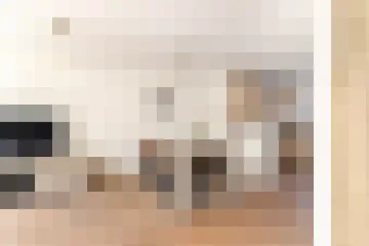 Dotterbloem 2 Uitgeest thumbnail 9