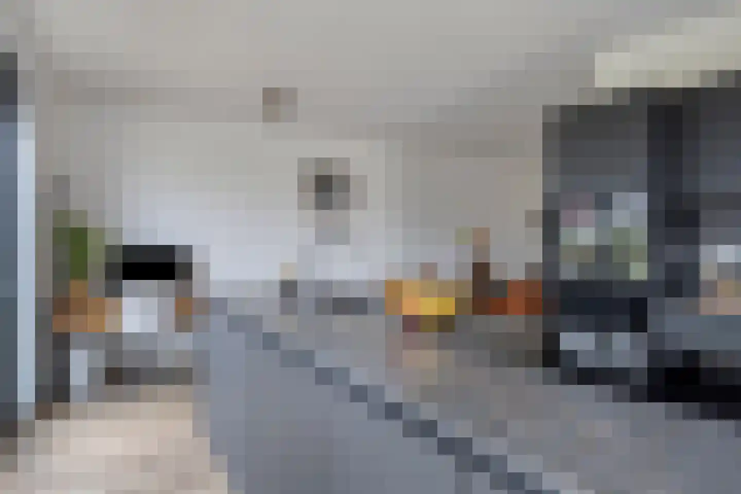 Dotterbloem 23 Bergen op Zoom thumbnail 20
