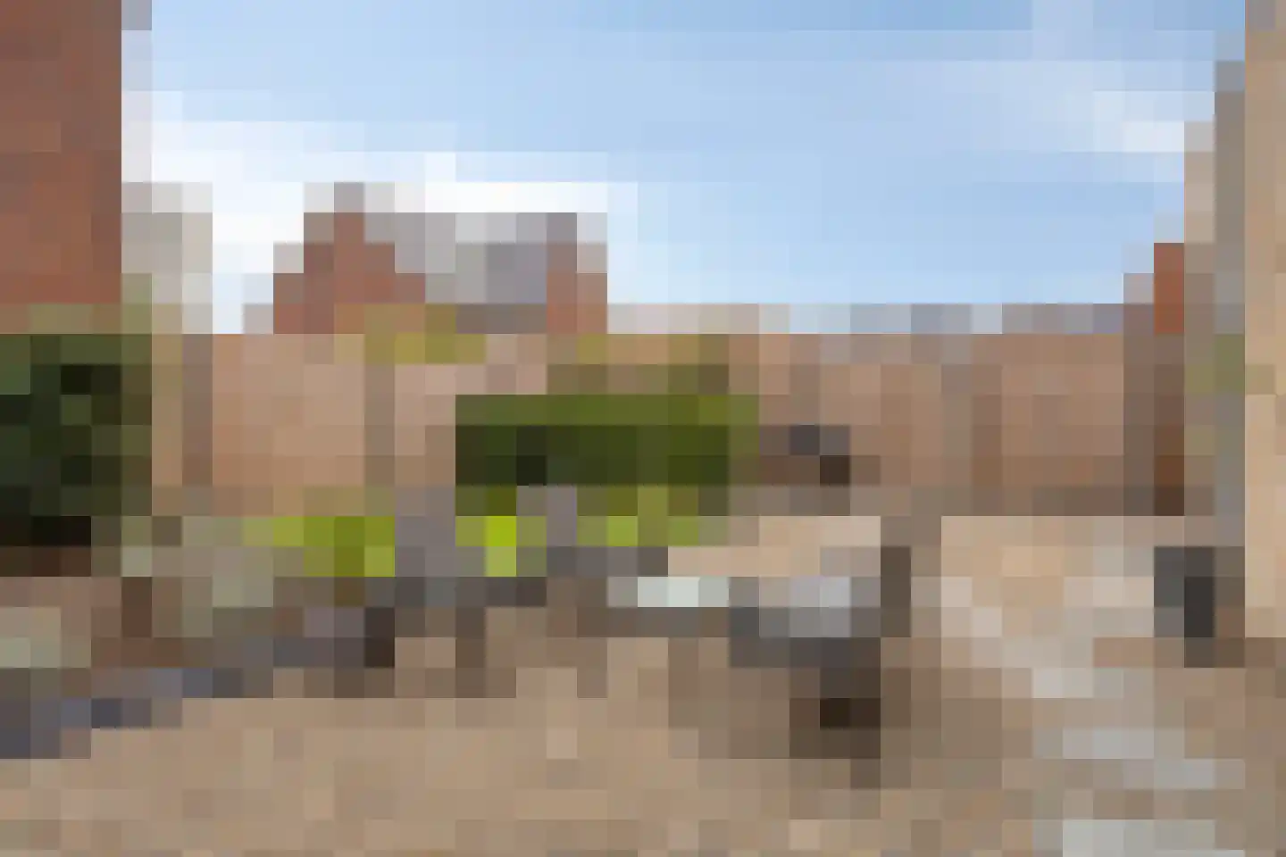Dotterbloem 23 Bergen op Zoom thumbnail 34