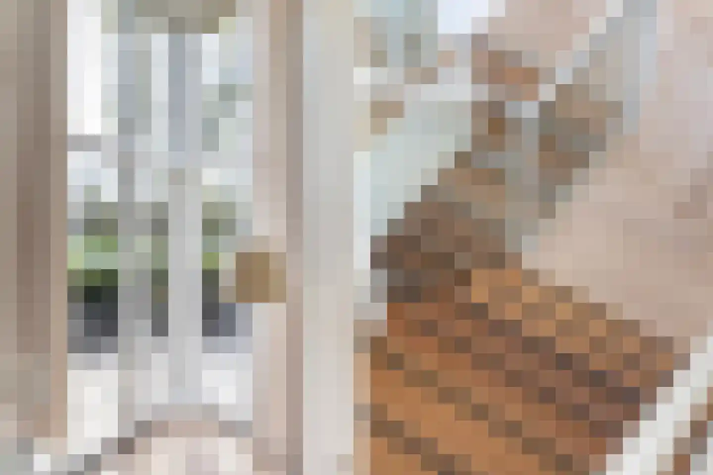 Dotterbloem 24 Zwolle thumbnail 10