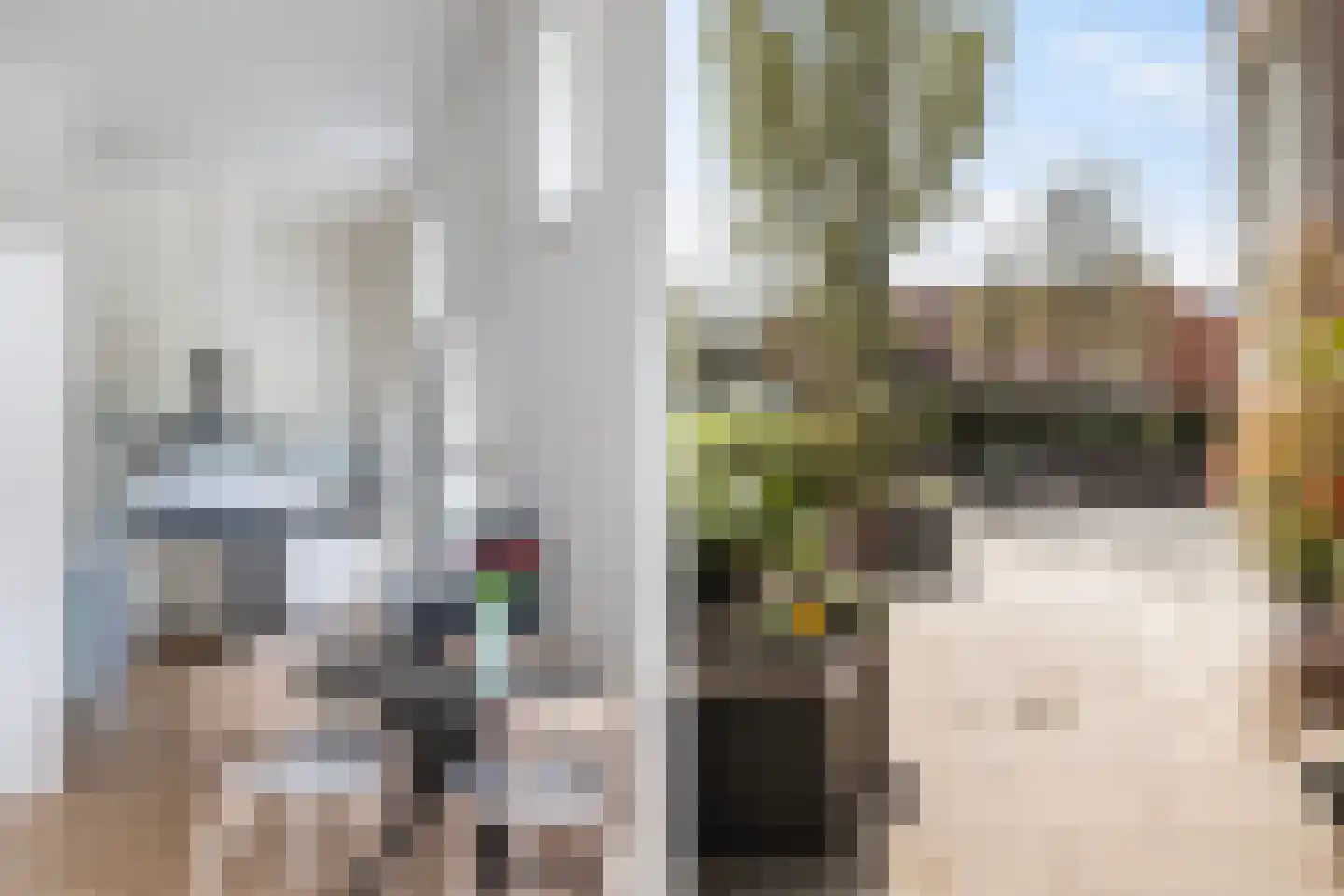 Dotterbloem 24 Zwolle thumbnail 14