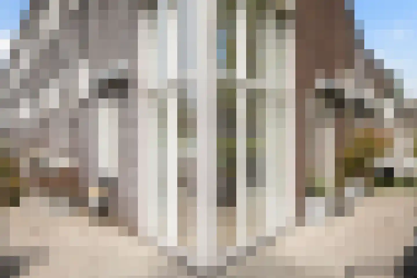 Dotterbloem 24 Zwolle thumbnail 15
