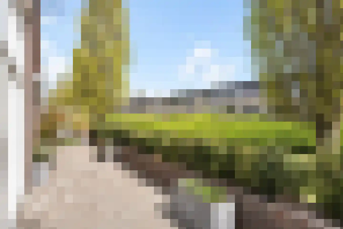 Dotterbloem 24 Zwolle thumbnail 16
