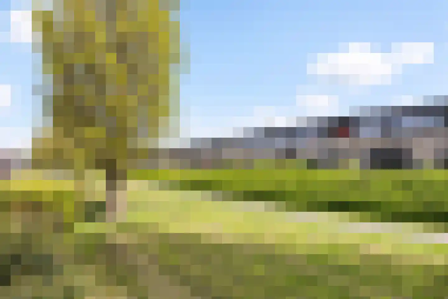 Dotterbloem 24 Zwolle thumbnail 17