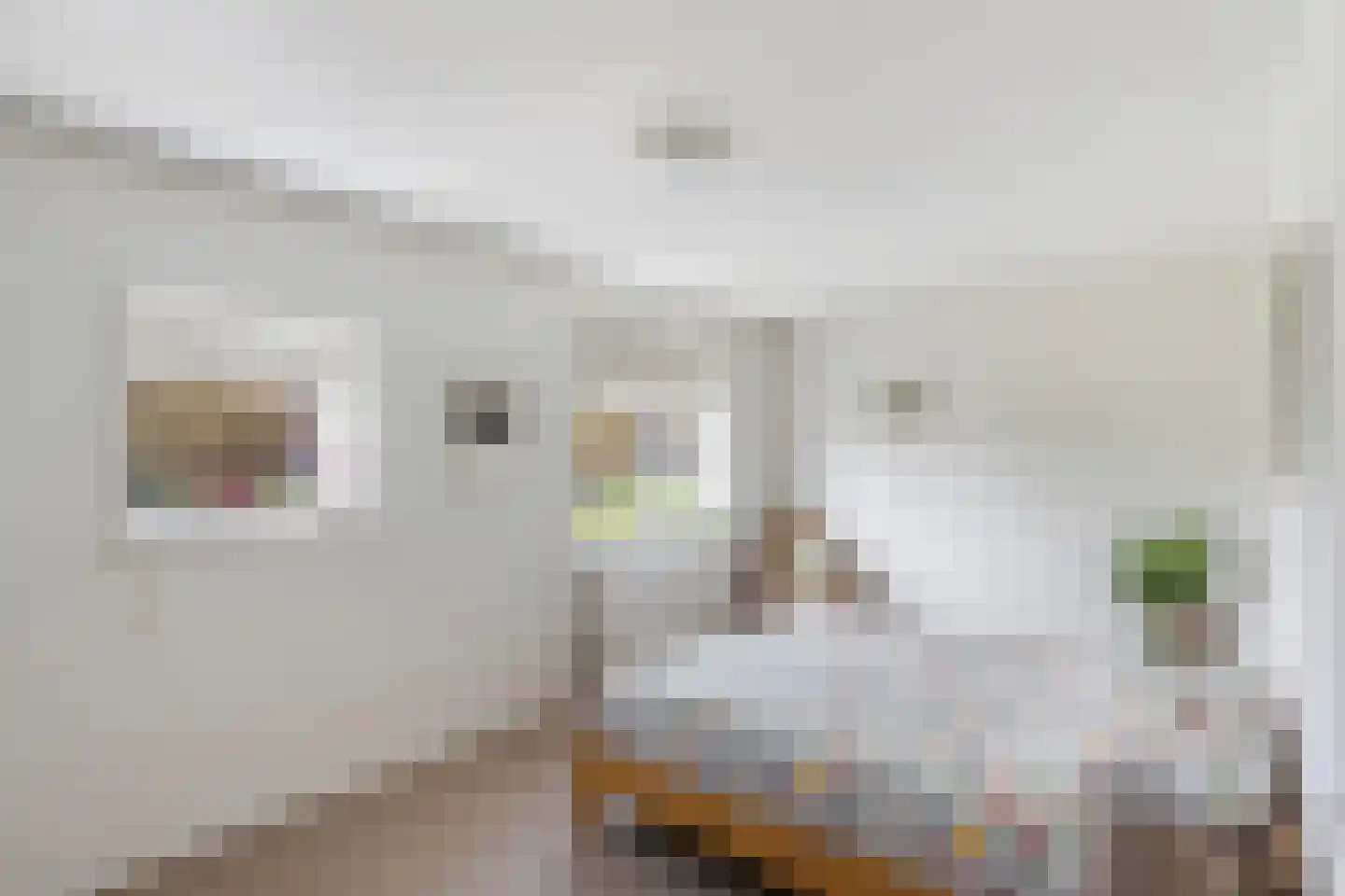 Dotterbloem 24 Zwolle thumbnail 21