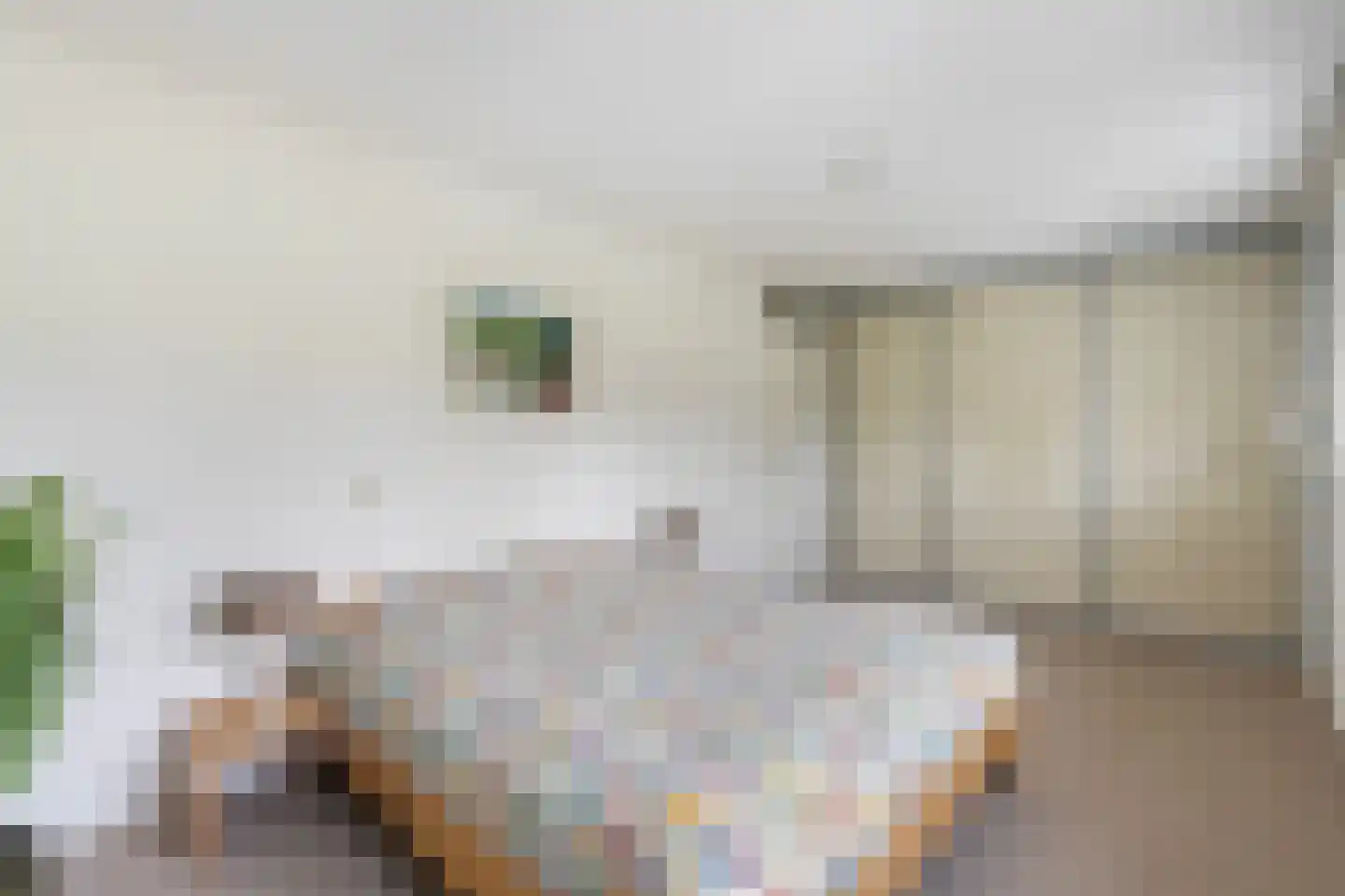 Dotterbloem 24 Zwolle thumbnail 22
