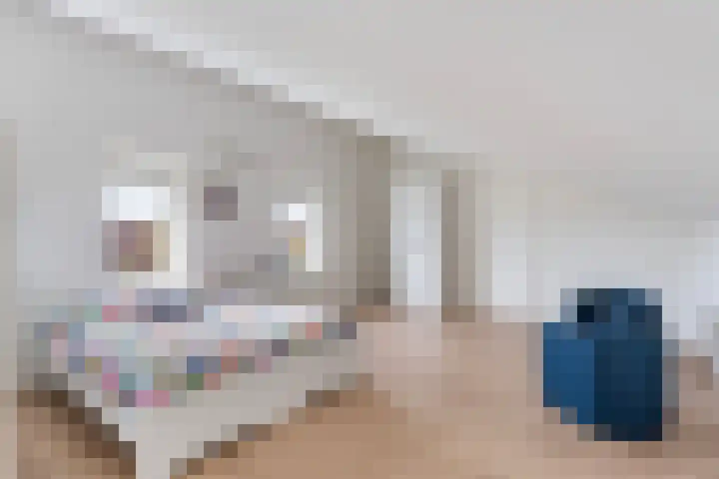 Dotterbloem 24 Zwolle thumbnail 28
