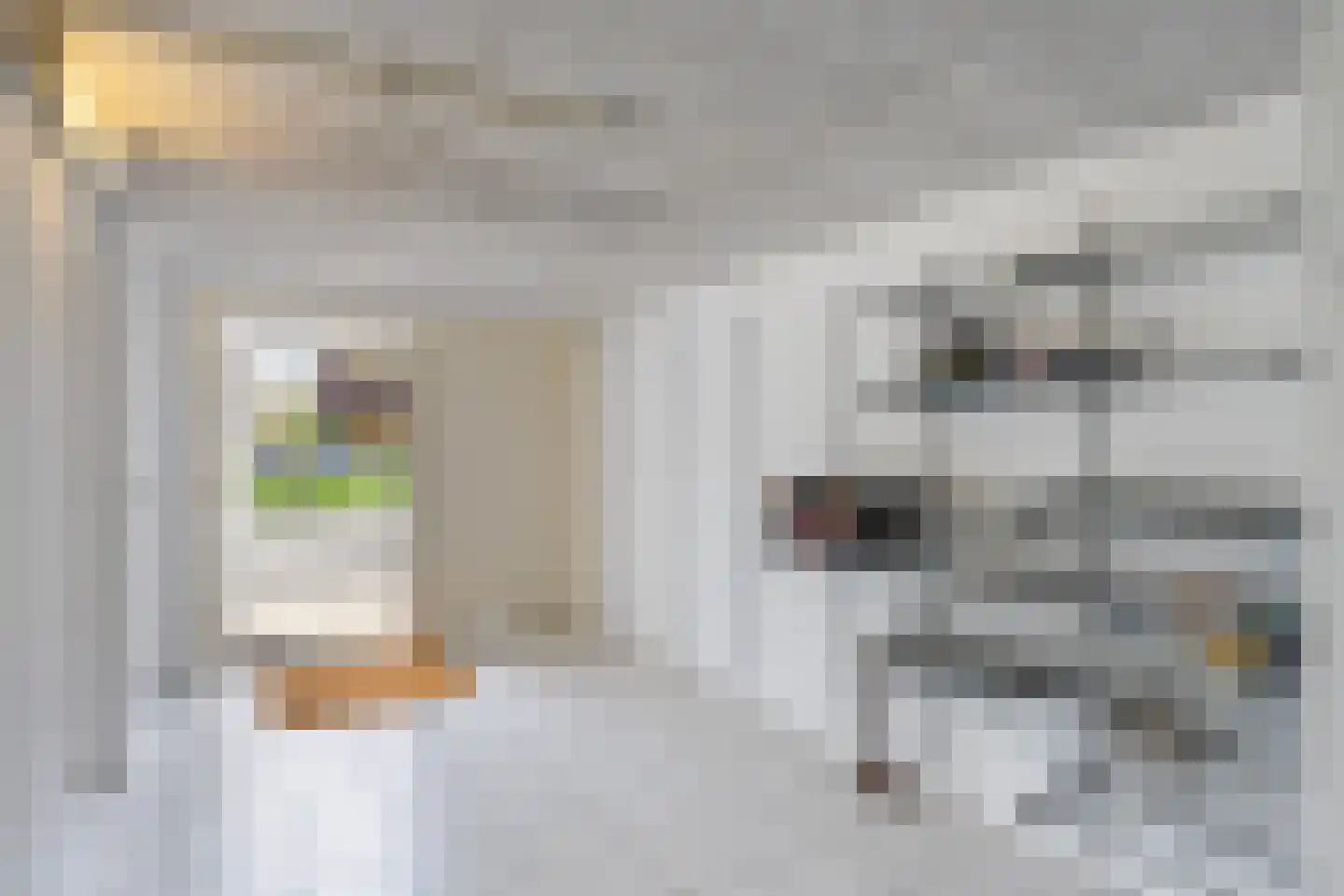 Dotterbloem 24 Zwolle thumbnail 30