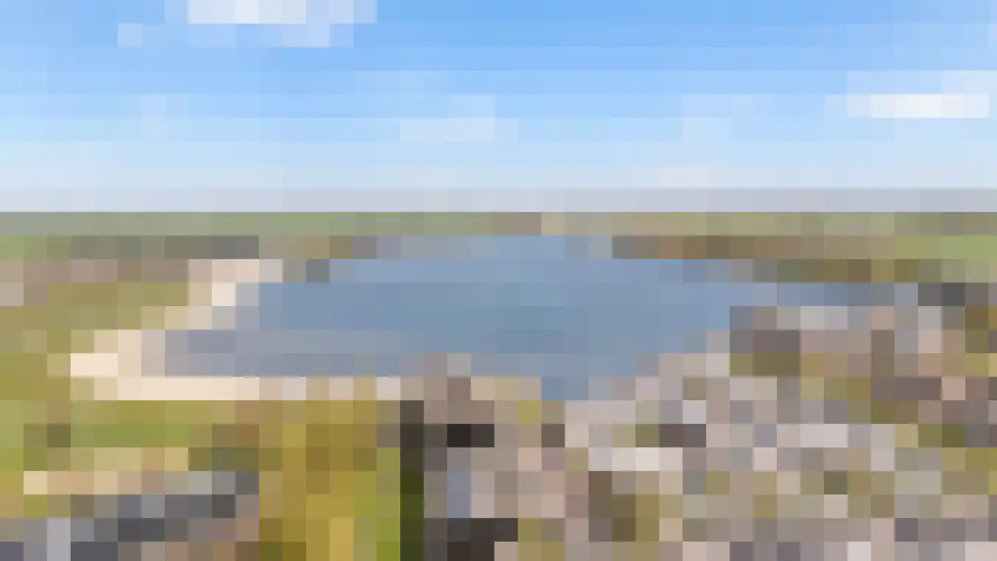 Dotterbloem 24 Zwolle thumbnail 31